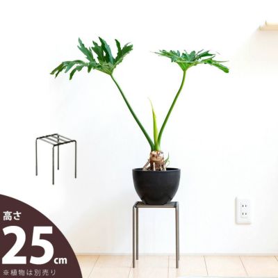 スマートアイアンSTAND（LOWタイプ）