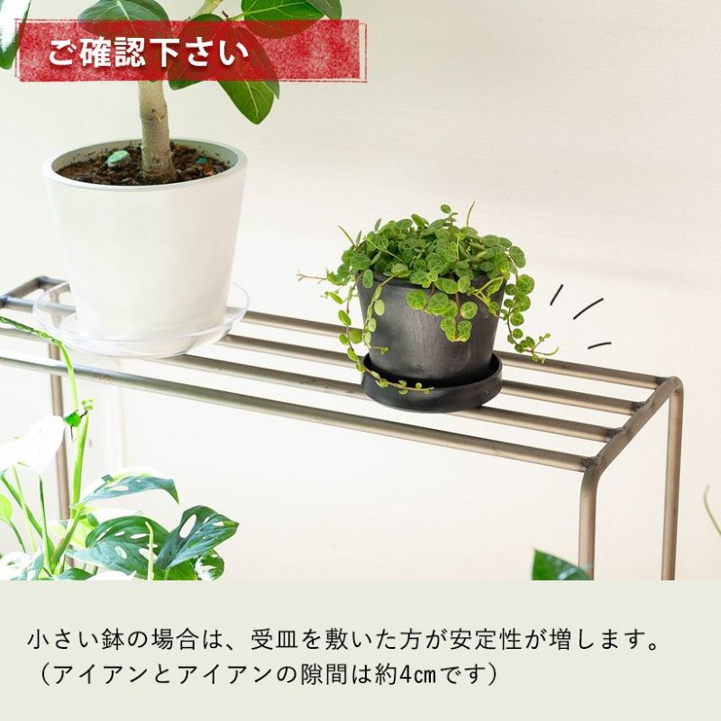 英国アイアン植木鉢 19051509.jpg