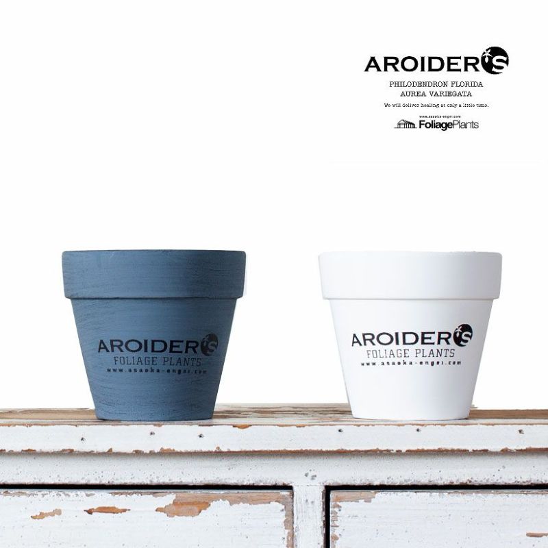 AROIDER'S植木鉢