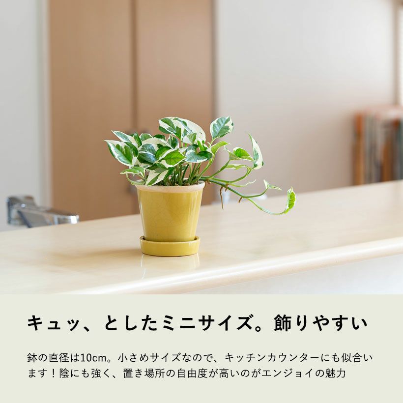 お取り置き商品 九谷焼 九谷陶明 八角 花詰 菓子鉢 深鉢 お取り置き商品 九谷焼 九谷陶明 八角 花詰 菓子鉢 深鉢 お