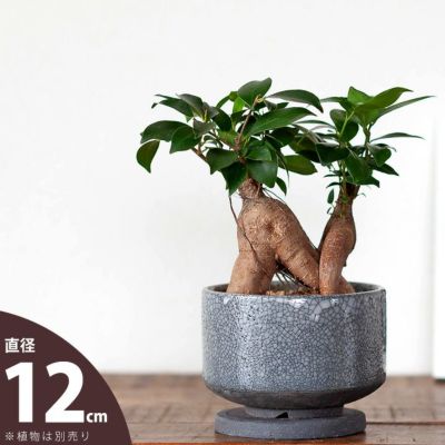 国産・お椀みたいな浅型陶器鉢（渋くてカッコイイ貫入加工）