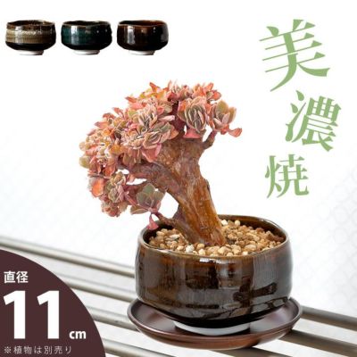 美濃焼の抹茶碗で、植物を愛でるMサイズ（Made in JAPAN植木鉢）