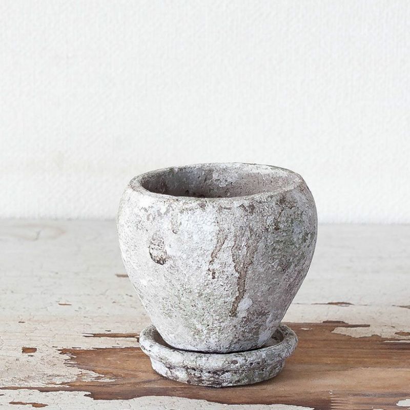 2.5号植物の植え替えに！アンティークセメントプランター白