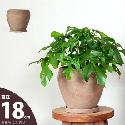 形や素材が個性的な植木鉢｜[公式] e-花屋さん 本店