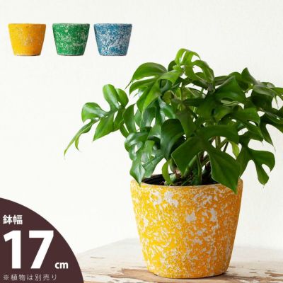 欲しい植木鉢が見つかる！室内外おしゃれプランター専門店