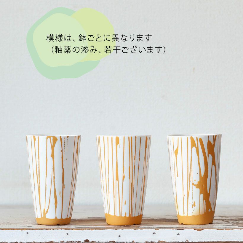 黄色（イエロー）白のストライプ植木鉢。多肉葉植物の植え替えに