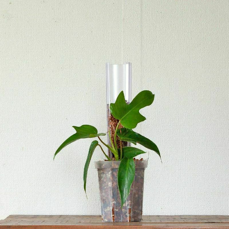登り棒(花森家)透明ねこ型タイプ|植物を登らせ葉を大きく! 登り棒(花森家)透明ねこ型タイプ|植物を登らせ葉を大きく!