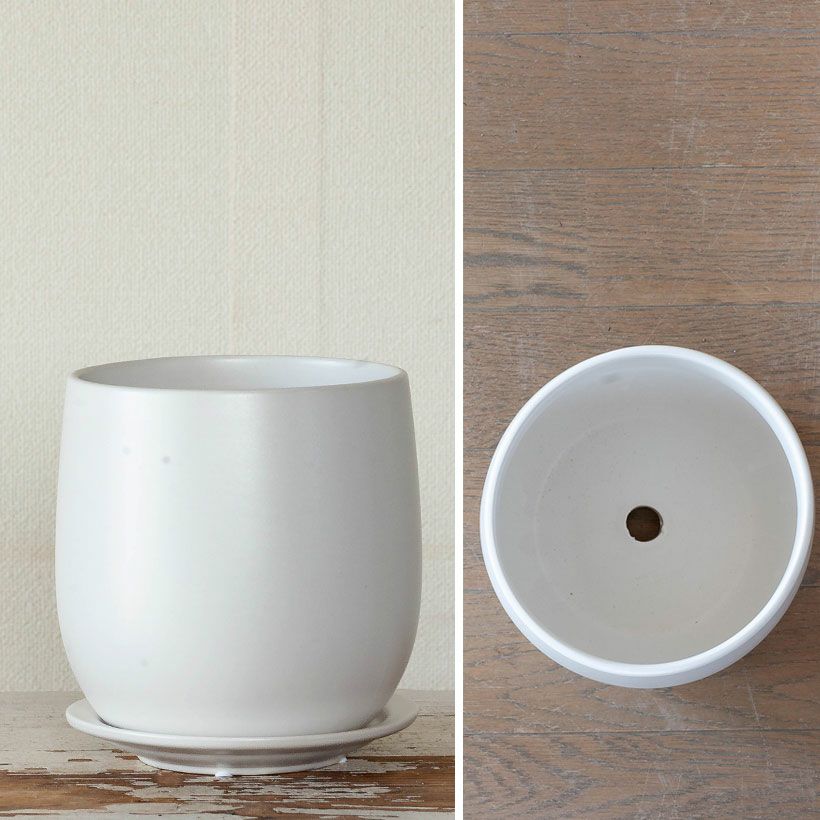 白マット仕上げの植木鉢｜面長形状シンプルなマット仕上げ（受皿付き）