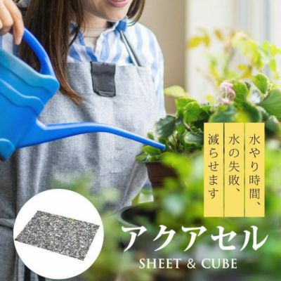 アクアセル（水やりが楽になる便利道具）