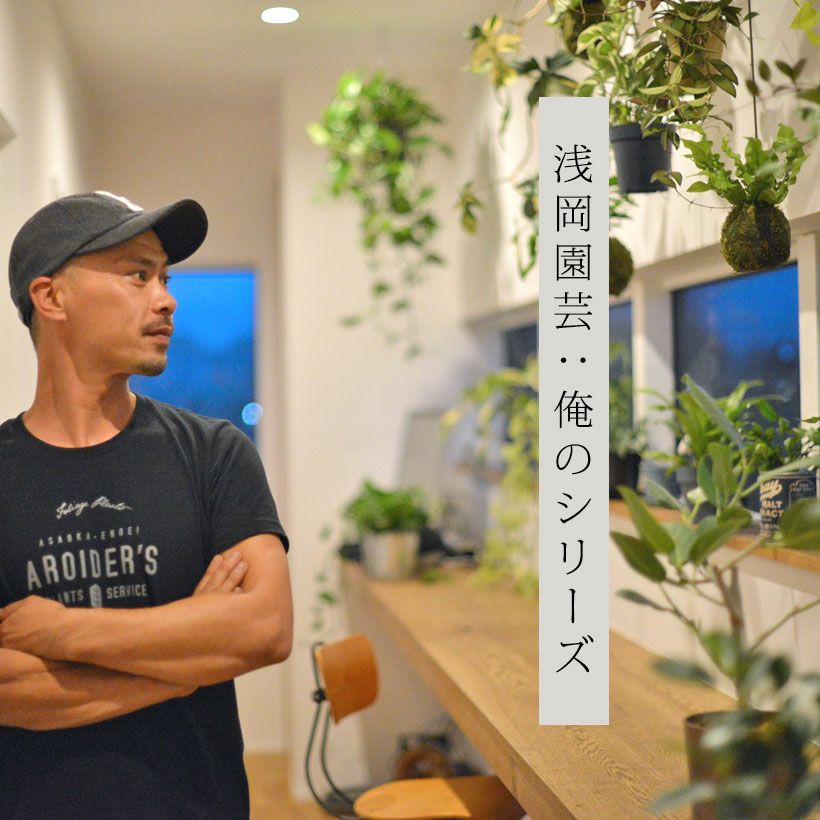 浅岡園芸俺のシリーズ