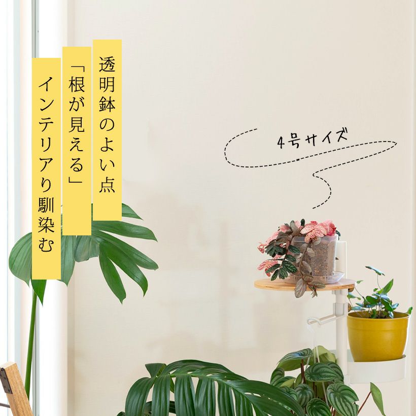 ネガミエルを部屋に飾った写真