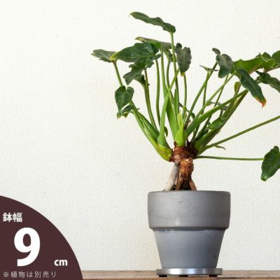 武骨でカッコいい！瓦ツートン植木鉢<br>（9.5ｃｍ）