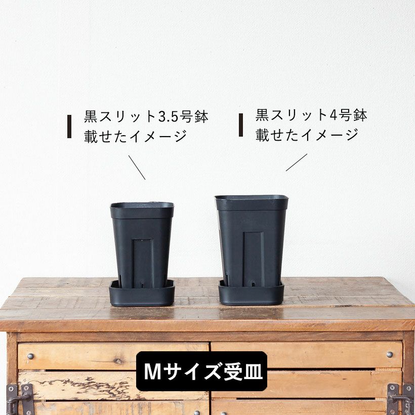 プレステラ専用受皿（プレート）水はけ向上インナー付き90