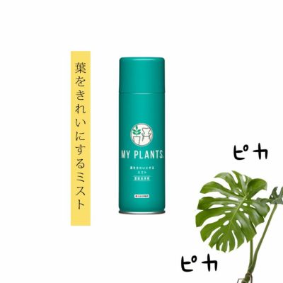 葉を「ツヤツヤ」に！葉を綺麗にするミスト
