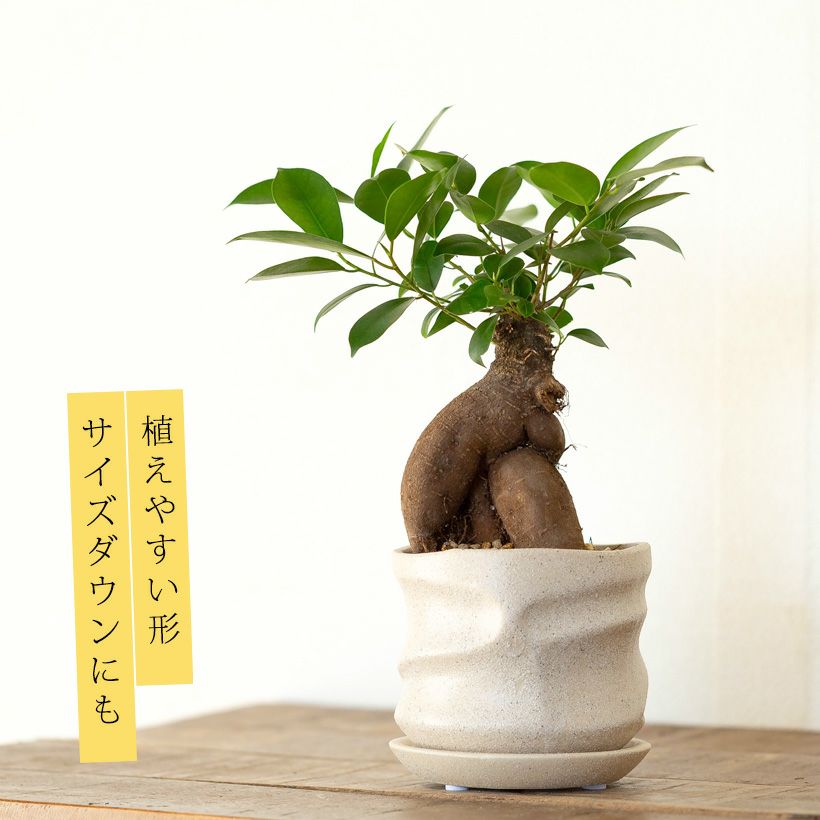 作家風（手作り風）セラミック陶器鉢：アイボリー