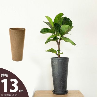 3号鉢、3.5号鉢、4号鉢サイズ｜おしゃれ植木鉢（ポット）67種