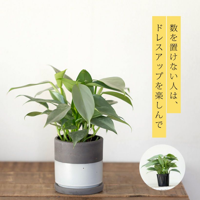 ツートンカラー（グレー×黒）シリンダ型陶器鉢