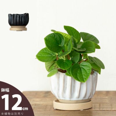 2号鉢、2.5号鉢、3号鉢サイズ｜おしゃれ植木鉢27種（陶器・素焼き）
