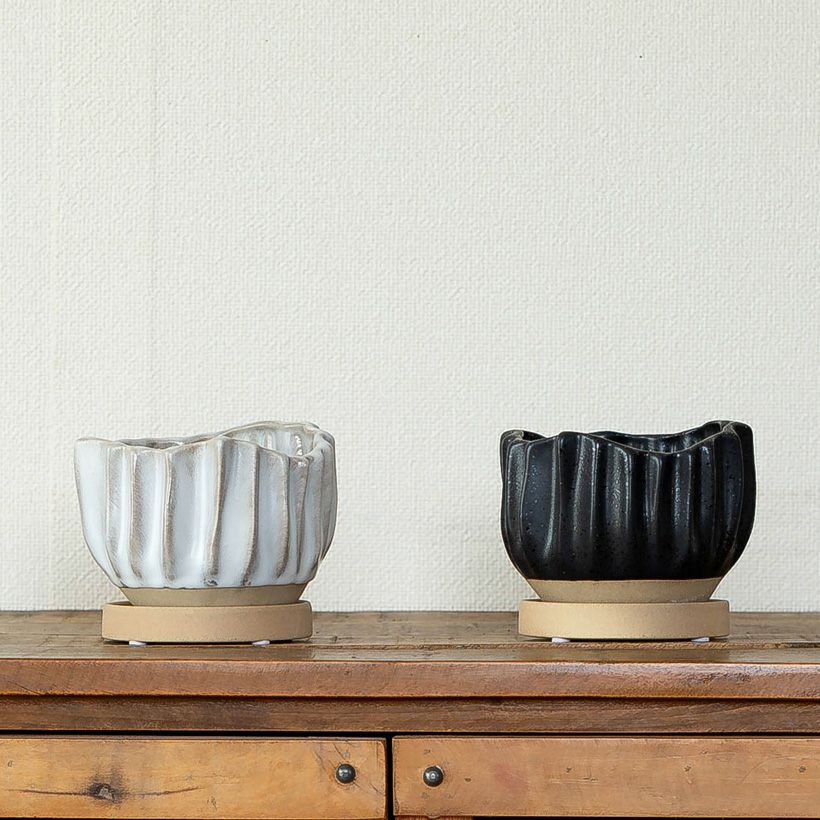可愛らしい陶器鉢｜ヘデラ、ペペロミアなどミニ観葉植物にお勧め