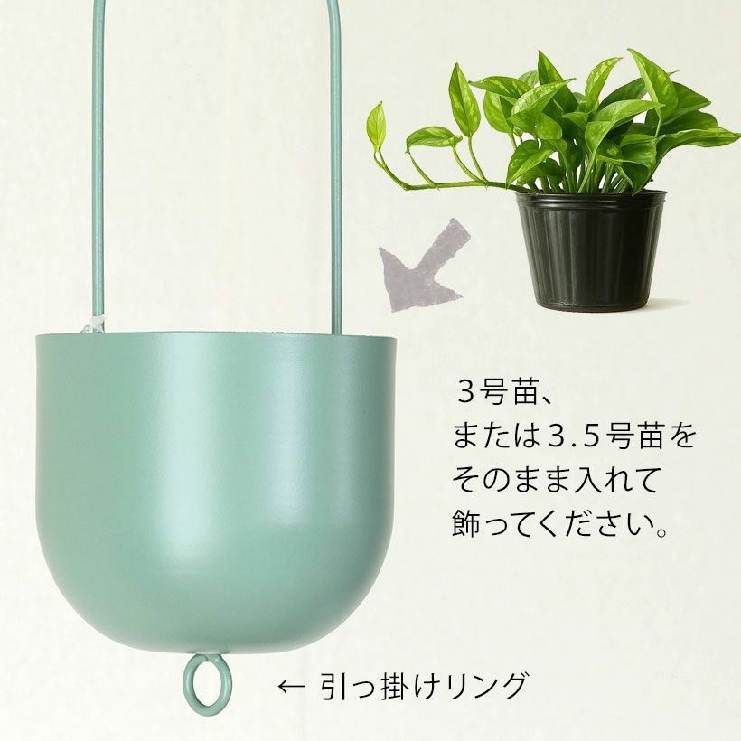 観葉植物の植え替えはこの鉢が人気！「4色」から選べる陶器鉢e-花屋さん