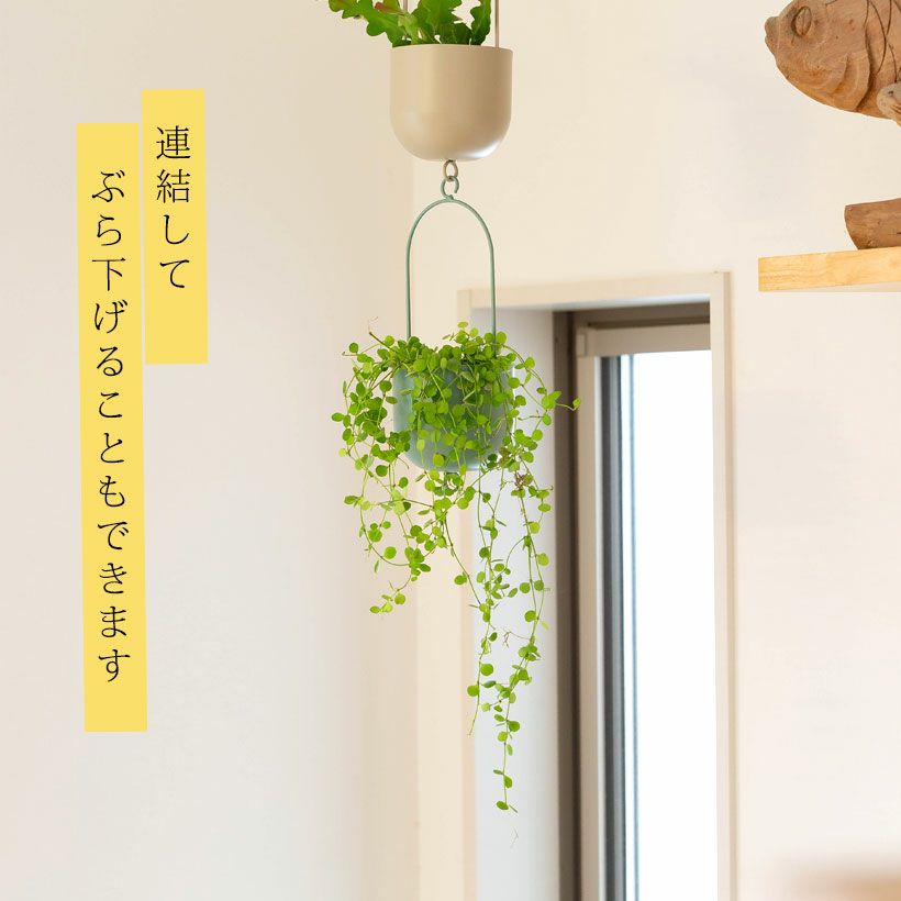 観葉植物の植え替えはこの鉢が人気!「4色」から選べる陶器鉢e 観葉植物の植え替えはこの鉢が人気!「4色」から選べる陶器鉢e