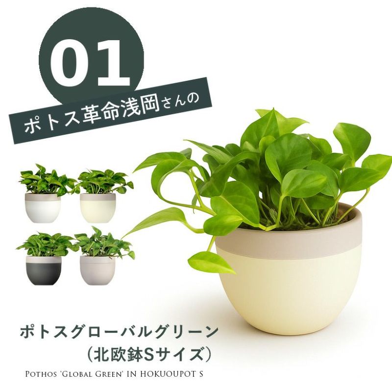 グローバルグリーン