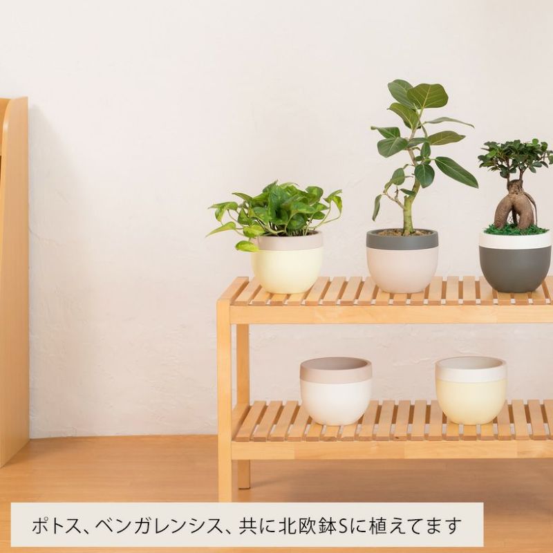 棚に北欧鉢を並べて