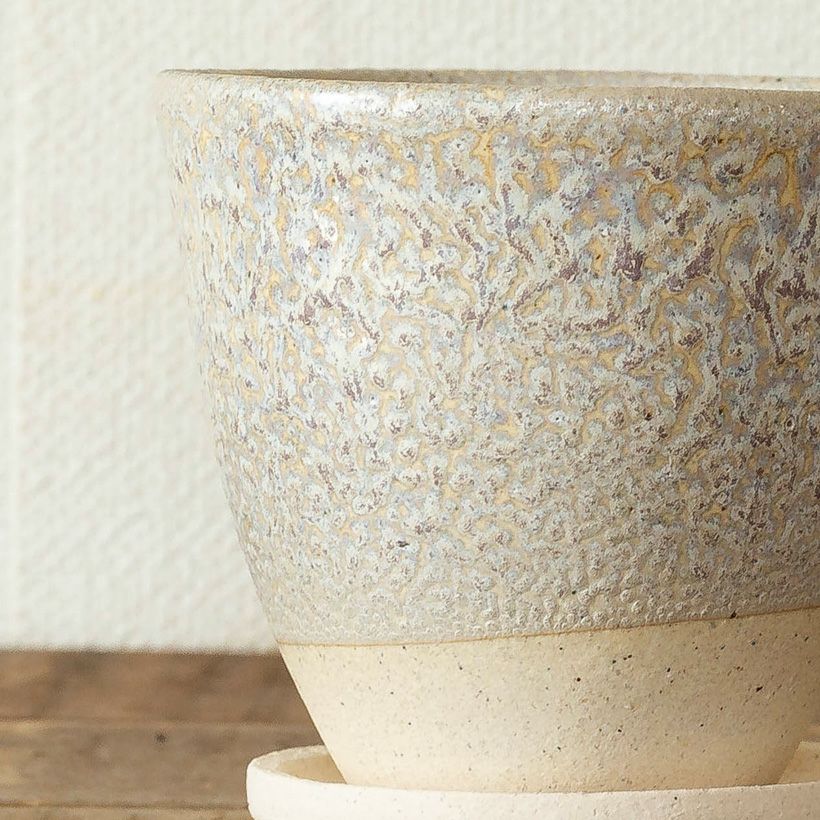 観葉植物の植え替えに使いやすいサイズ