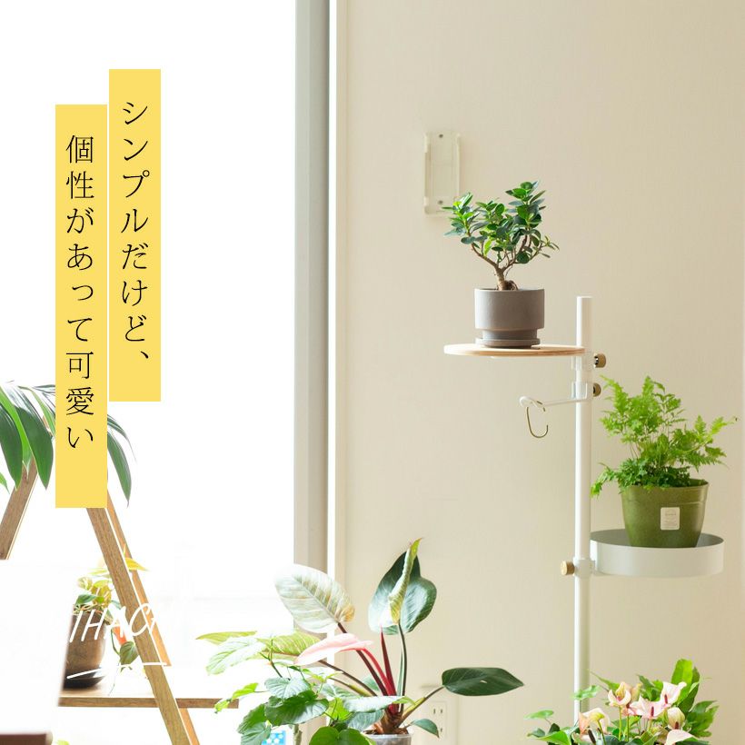 観葉植物の植え替えに使いやすいサイズ