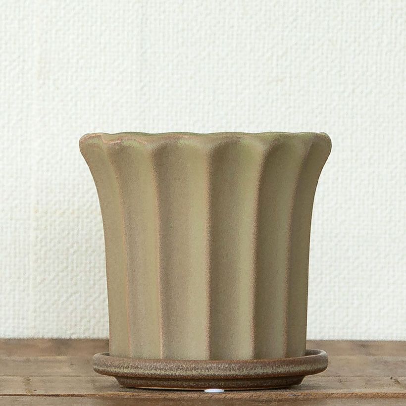 ブラウン（茶色）の陶器鉢：ミニ観葉植物向け