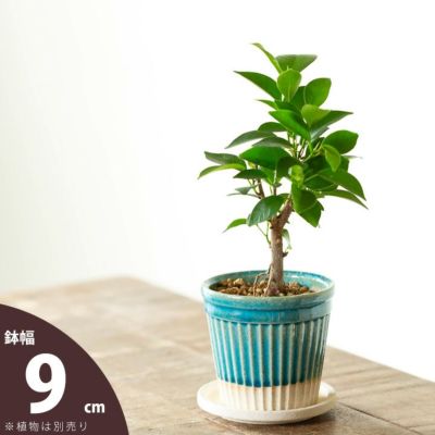 植木鉢　2個セット 楽天市場】球体 植木鉢 陶器 おしゃれ 【2個セット × 全5色