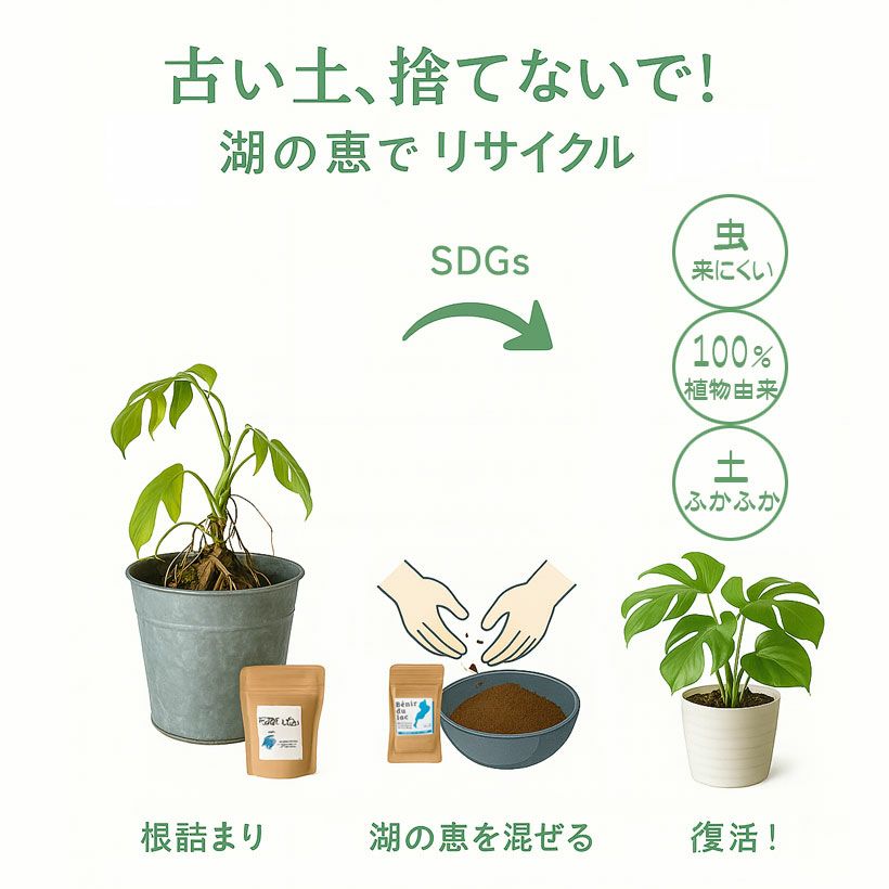 湖の恵の特徴