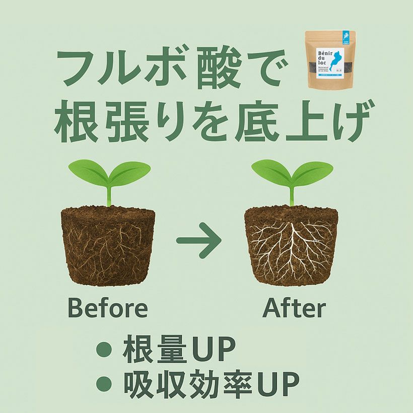 湖の恵（このめぐみ）室内向けオーガニック肥料350g[公式]販売店