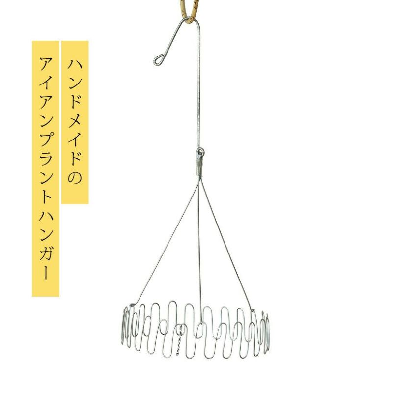 専用出品　エアープランツハンガーセット エアプランツハンガー｜ウスネオイデス吊り下げに！アイアン製