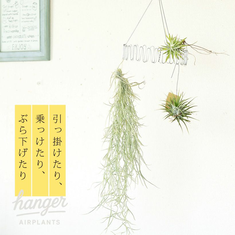 木の台とワイヤーのSET