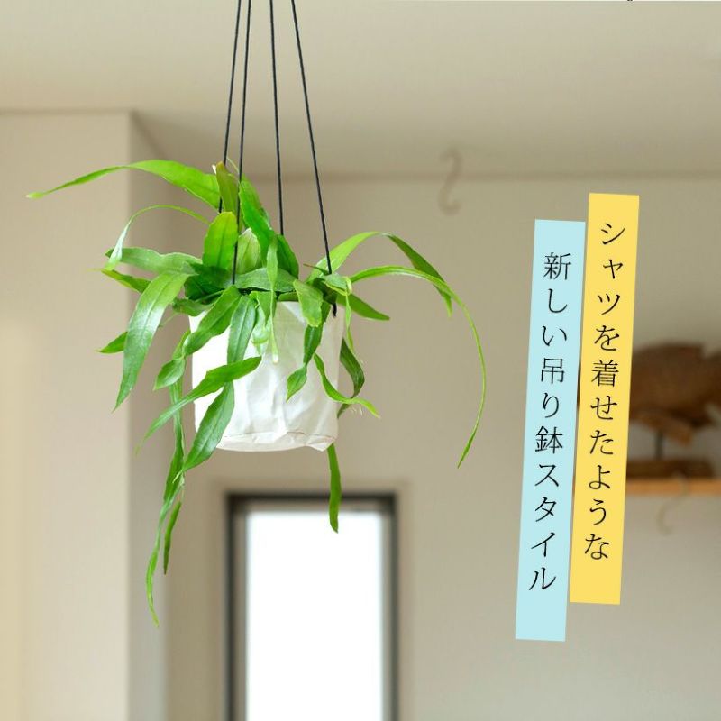 広がる。ハンギングんプランターの可能性