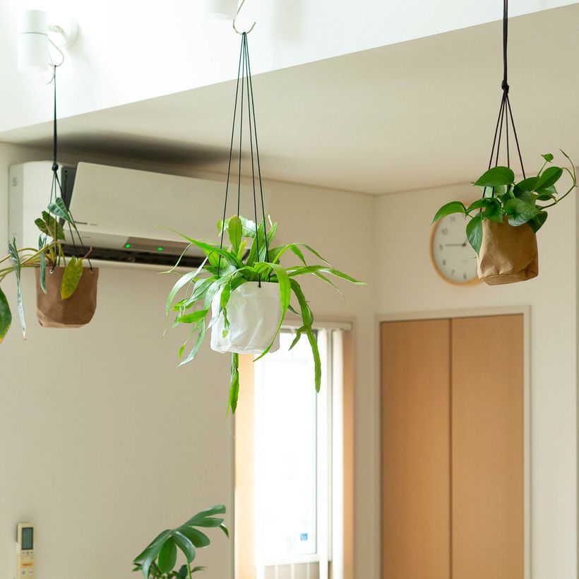 軽いし値段も手頃｜クラフトペーパーで作った観葉植物の吊り鉢
