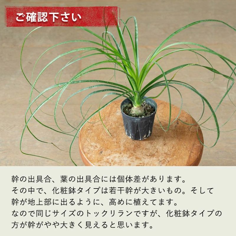 確認事項