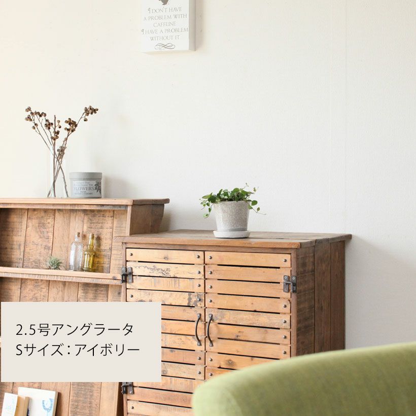 Sにアングラータを植えたイメージ