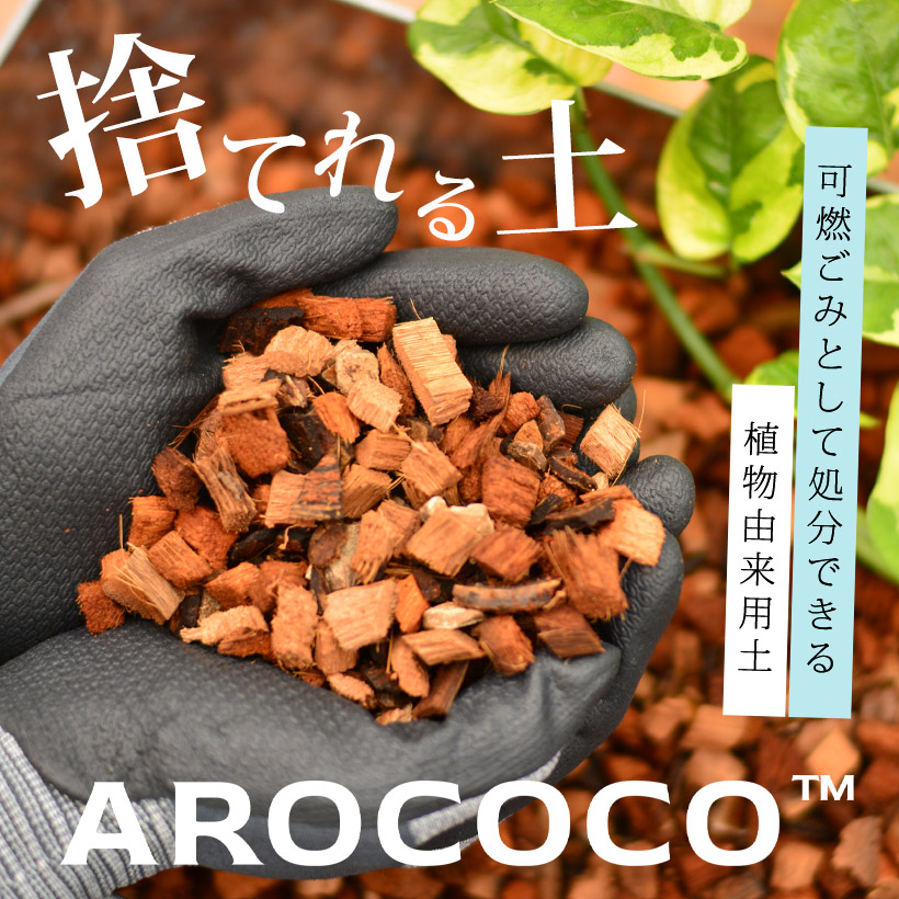 アロココの画像