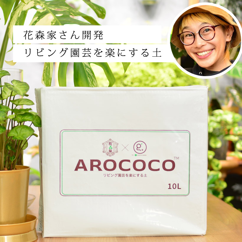 アロココ(10L)のパッケージの画像